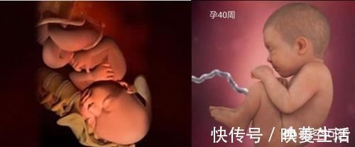 胎儿|怀孕38周生的宝宝跟40周生的区别大吗，这两周胎儿发育情况如何？