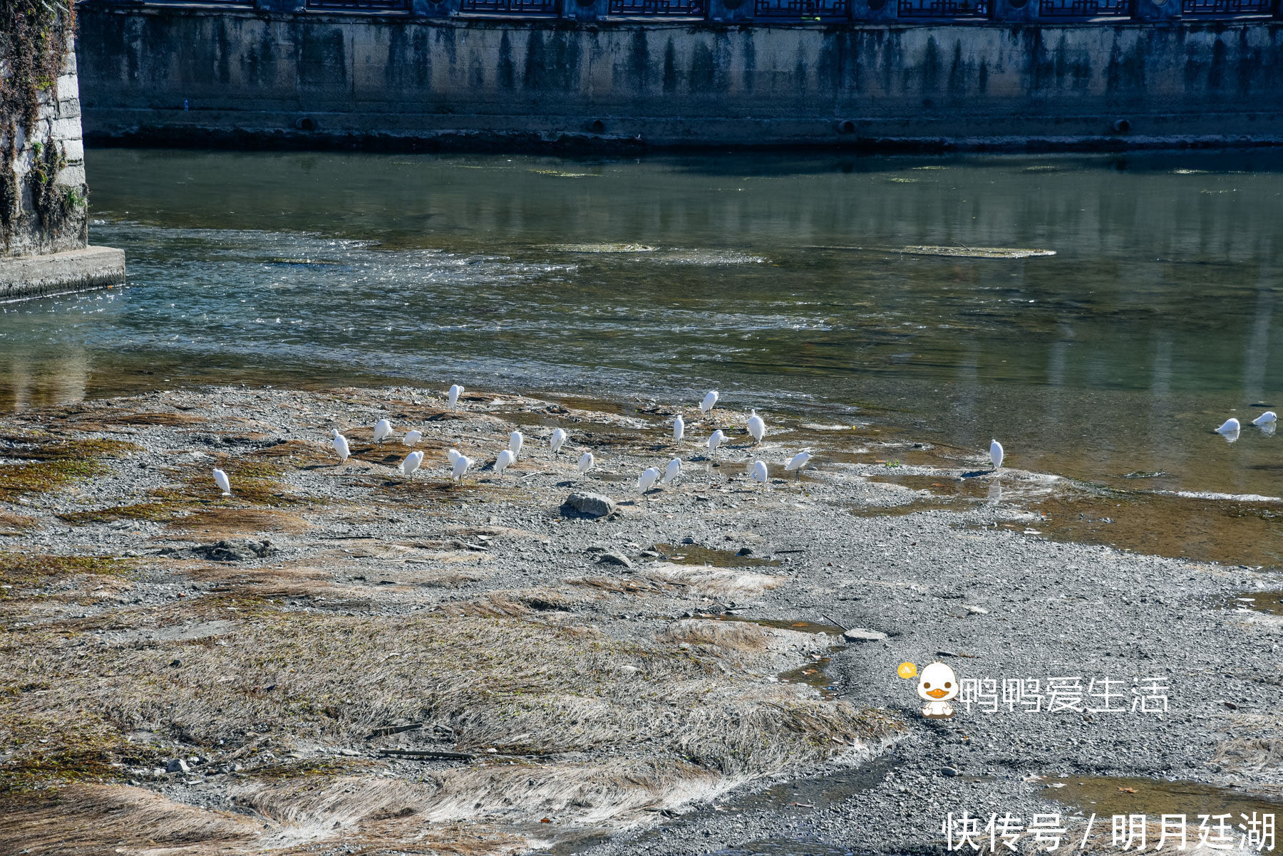 贵阳始建于明代的三层楼阁，以河中巨石为基，藏中国三大长联之一