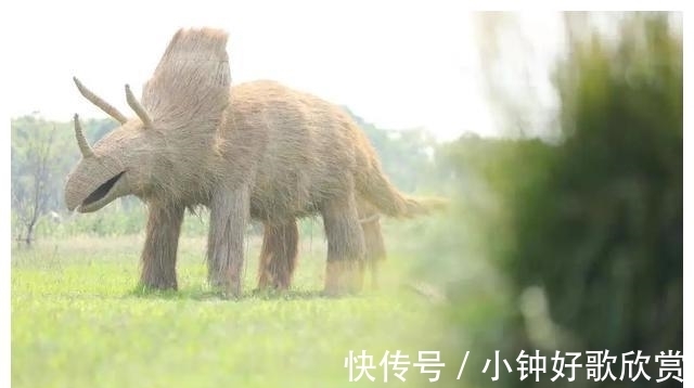 音乐季|带着孩子来割稻啦！还有稻田音乐季、美食市集和露营活动