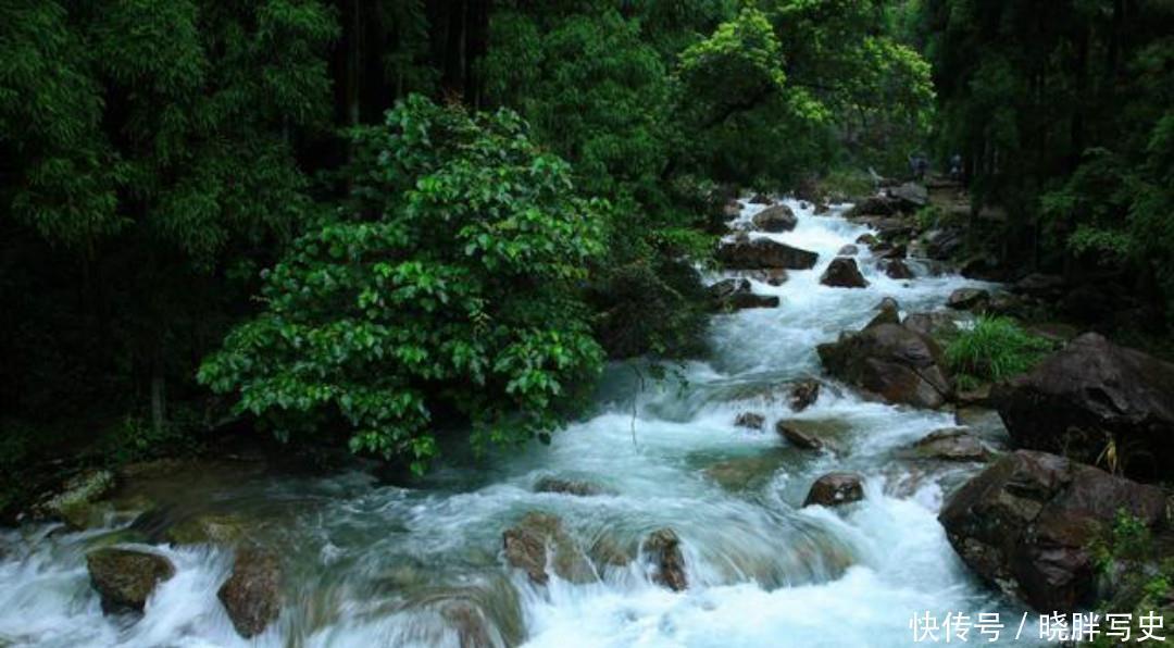 如诗如画|唐朝高僧一首经典的禅诗,通篇美得如诗如画,读来让人拍案叫绝