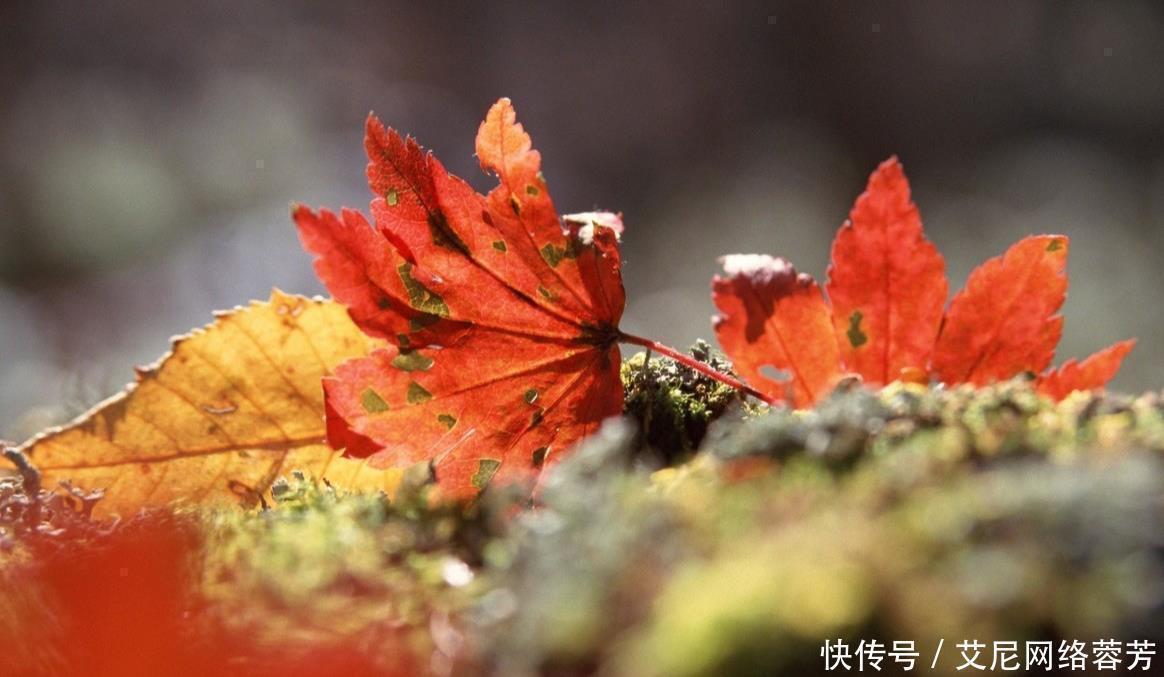 一首诗@唐朝最孤独的一首诗,只有22个字,千百年来无人超越