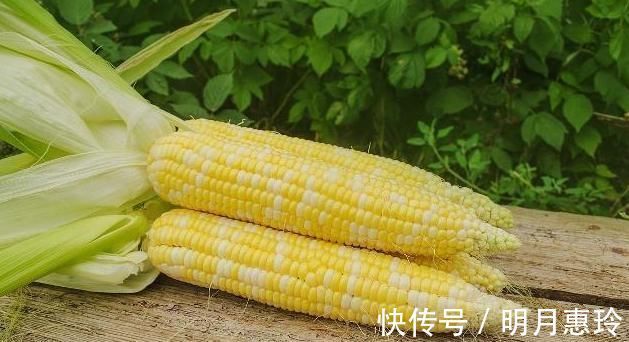 燕麦|还在靠节食减肥吗？4种粗粮常吃，刮油燃脂，吃再多也能瘦！