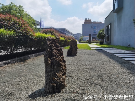 简素|价值20亿的简素酒厂