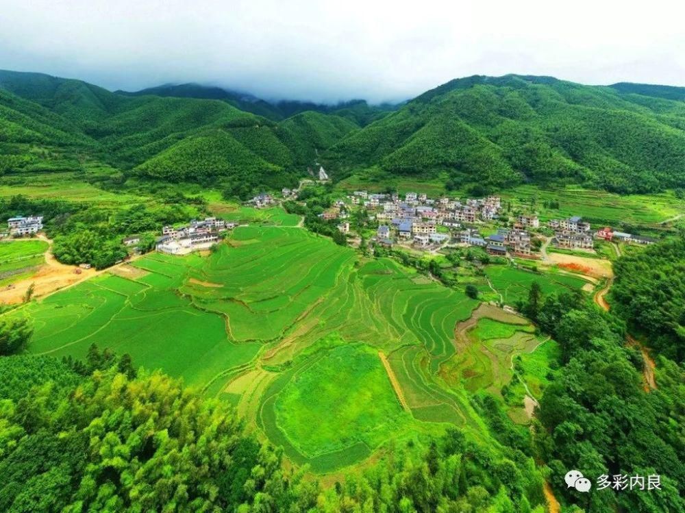 生态|喝着山泉水长大的内良高山稻米，认识一下