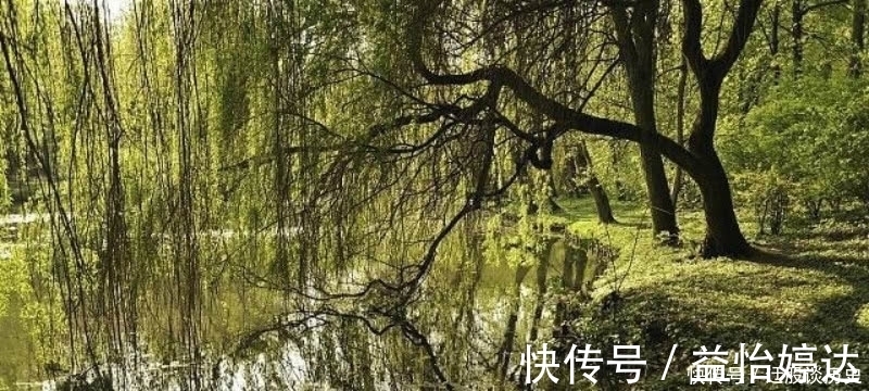 这首诗@杨万里这首诗清新脱俗,表现手法更是高超,成为宋诗里的咏柳名篇