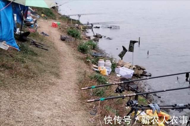 广西邕江边现罕见场景,钓鱼人纷纷打重窝,还带上帐篷和锅碗瓢盆