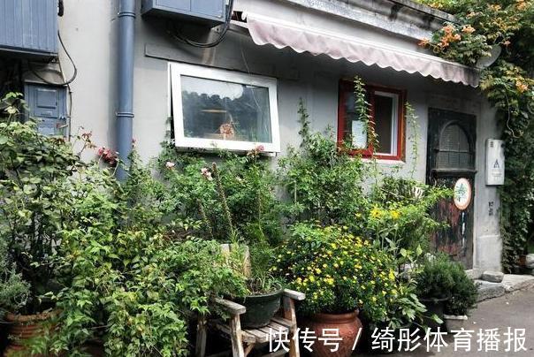 用啥水浇花长得快、开花多、虫害少?3个妙招,省时省钱又省力