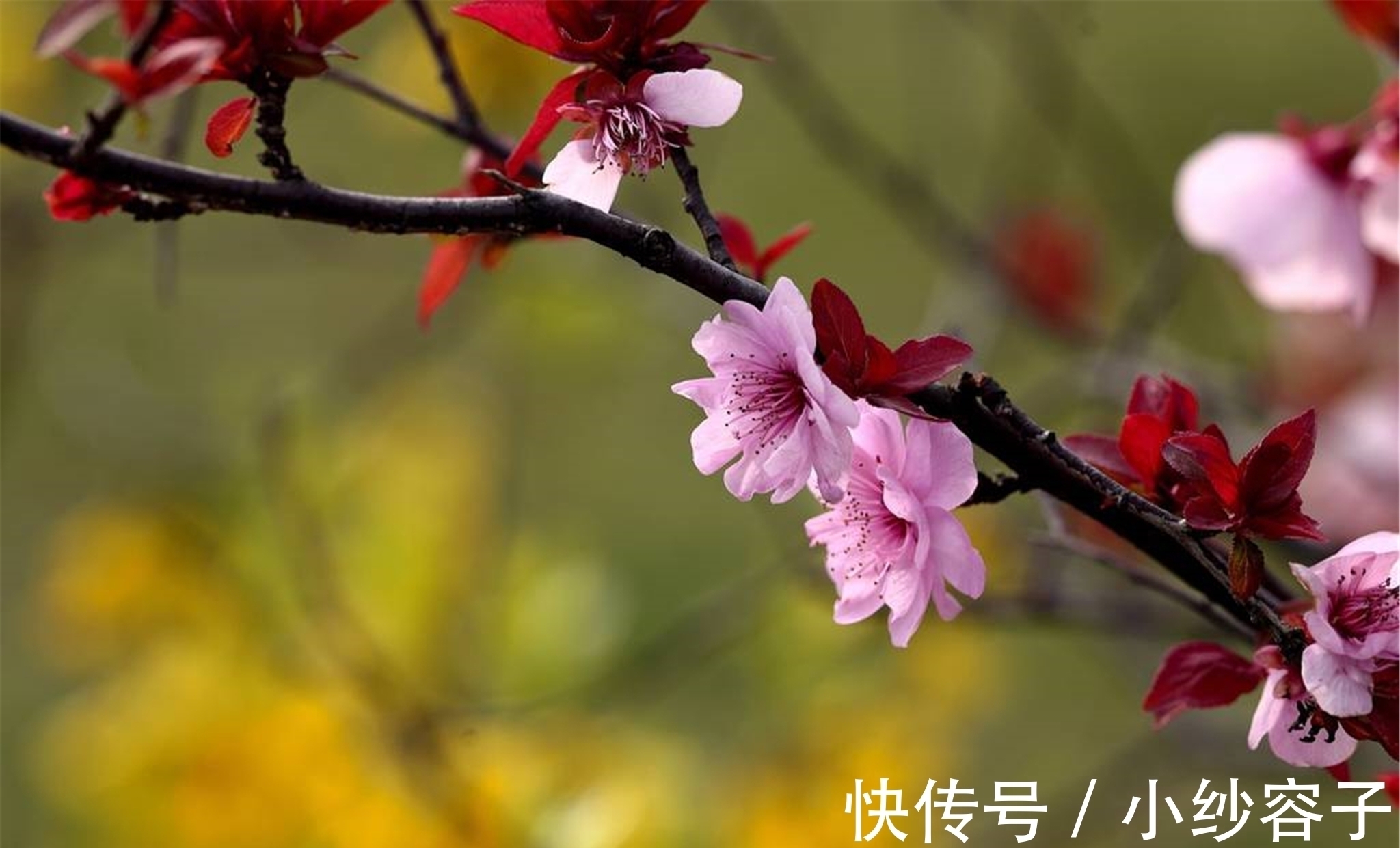 今夜月明！一首凄美的唐诗，道尽了人生苦味，后两句尤其经典