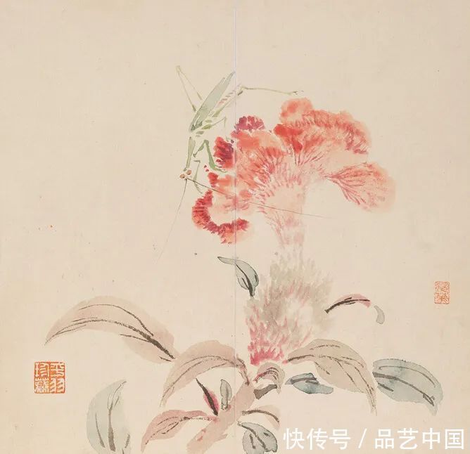 陈师曾#京剧大师的花鸟册,雅俗共赏