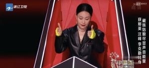 斯丹曼簇|《中国好声音2021》，说一说“有情人”那英