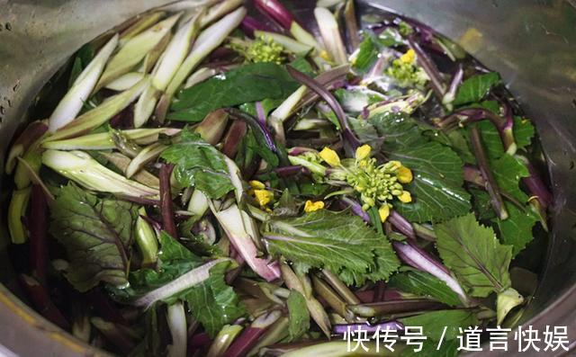 紫菜苔5种最好吃的做法,每种都简单美味,看看你喜欢吃哪种