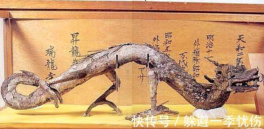 盘点&龙是否真实存在过?盘点三大实物证据,考古学家:铁证如山!