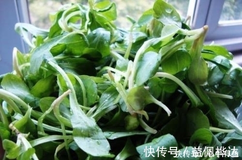 复发|遇上痔疮不用割!这片叶子煮一煮,解决痔疮不复发,医生都偷着用