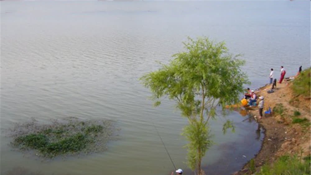 为何久坐无口,钓不上来鱼?未必是技术问题,原因更可能是这些!