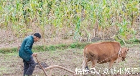 补剂!我国“长寿之王”龚来发:终生未娶寿至133岁,生前爱好很不好