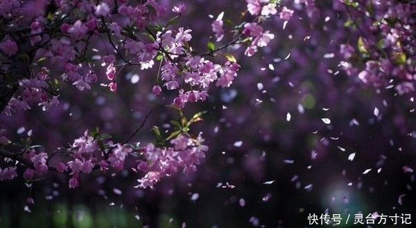 伤感|八首伤感诗词,写尽人间悲欢事