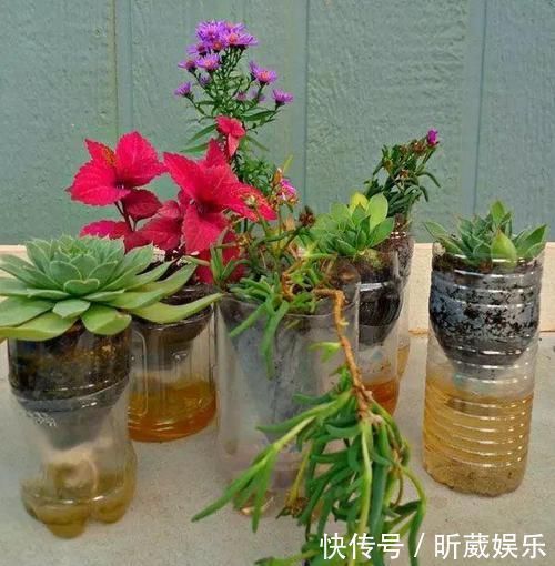 8个用塑料瓶制作的景观,有人觉得好看实用,但有人说丑爆了