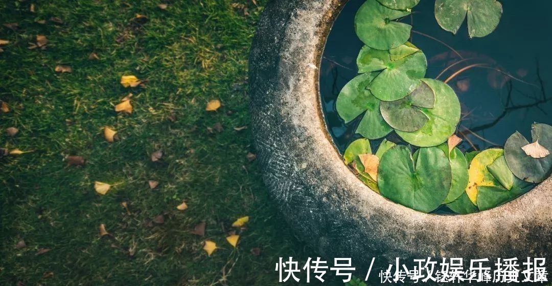 简简吟@宅在家,没事做就读一读这40句古诗词,每一句都是人间绝句