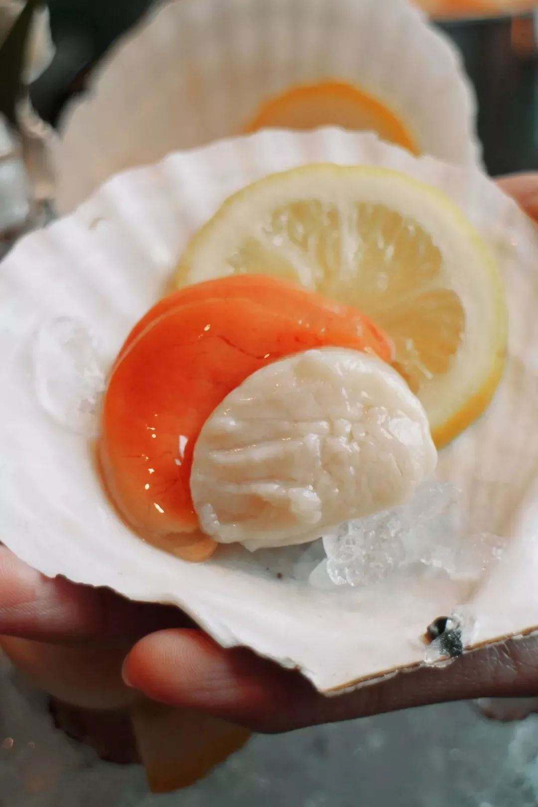 空降|空降的「泰式海鲜火锅」,—秒穿越到泰国