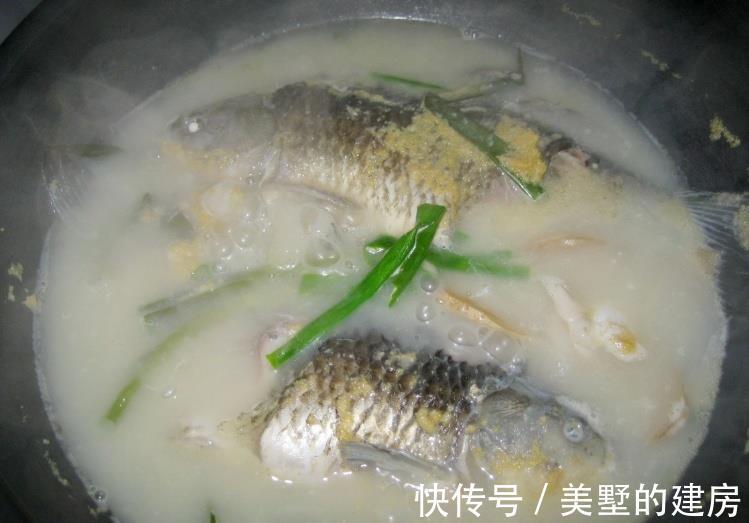 炖汤|秋天吃鱼,鲈鱼,草鱼都不如吃它!炖汤特别鲜美,益气养血还润燥