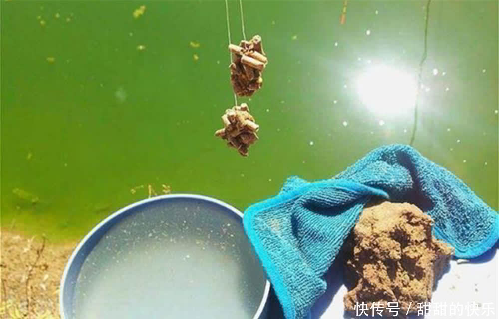 钓鱼技巧:多数钓友不知的隐藏技巧,空军还是爆护,跟这些有关!