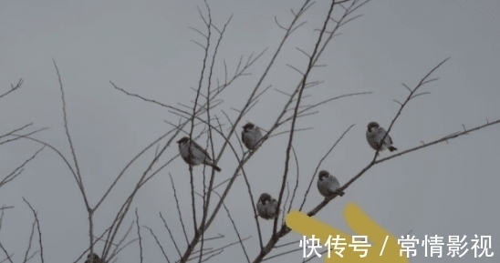 作者@“这是我看过的小说中Z……感觉作者不是一般人!”哈哈哈哈哈哈