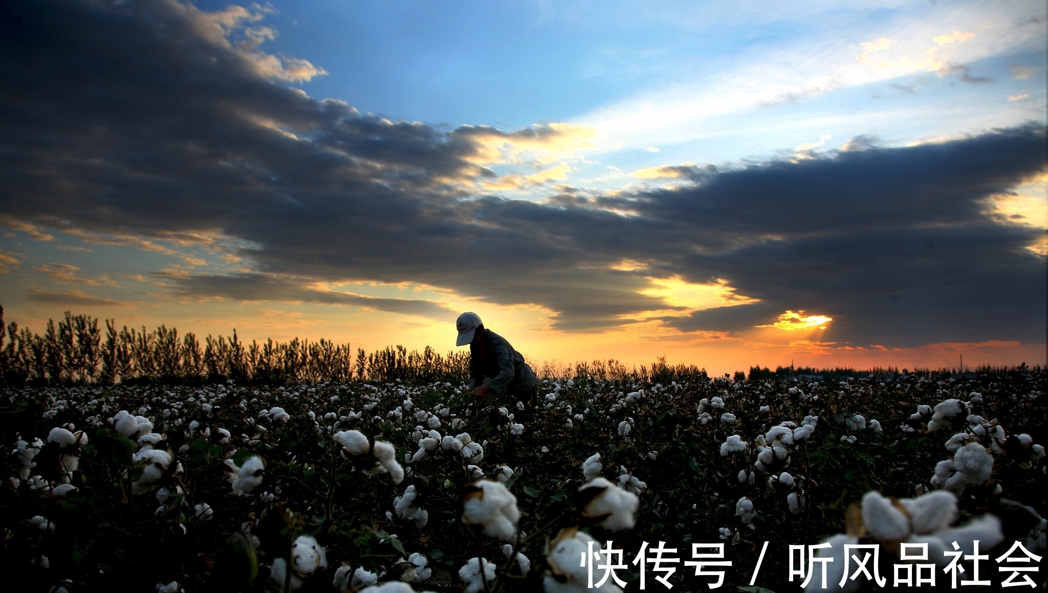 房价|廊坊房价四连跌,廊坊楼市后继无力,廊坊楼市分析第46篇
