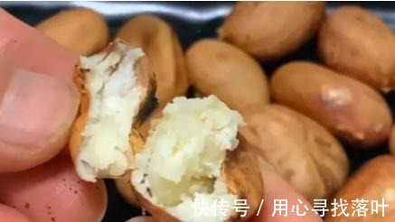 菠萝蜜核别再丢垃圾桶了,学会它的3种吃法,比吃红薯和板栗都香!