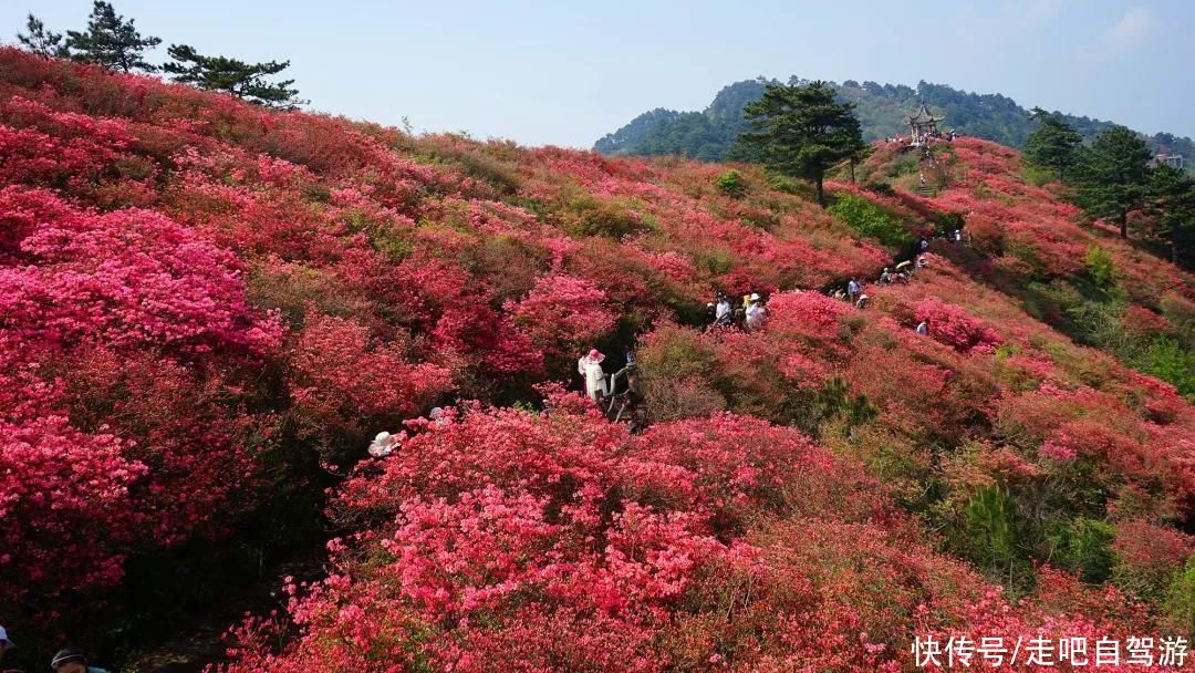 湖北400家免门票A级景区，推荐这10条精品线路值得一游