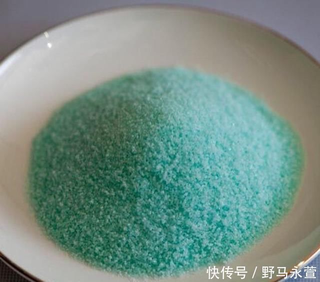 养花施肥别再用土方法了,这3种物质才是最有效的