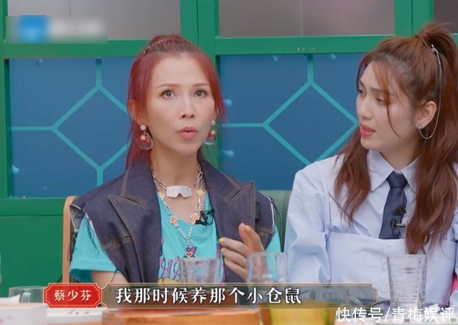 请吃饭的姐姐|这才是综艺该有的意义,蔡少芬用宠物的离开,告诉孩子人也是如此