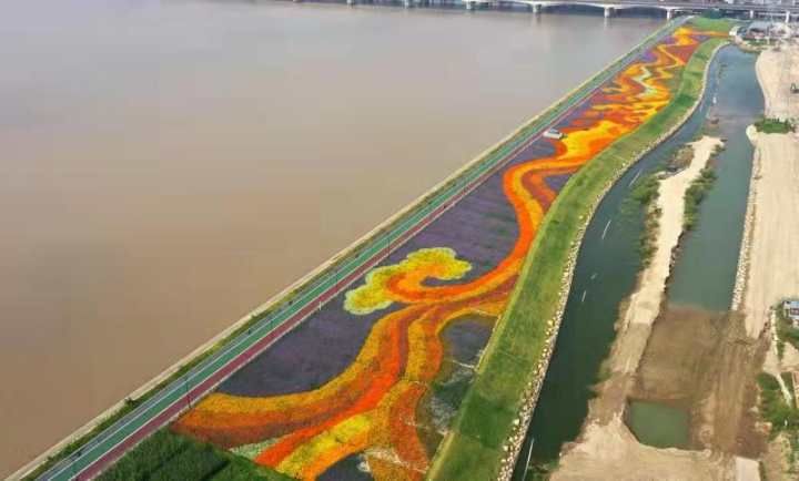 杭州亚运村|“钱江潮水”跃上花海 杭州亚运村周边景观大提升