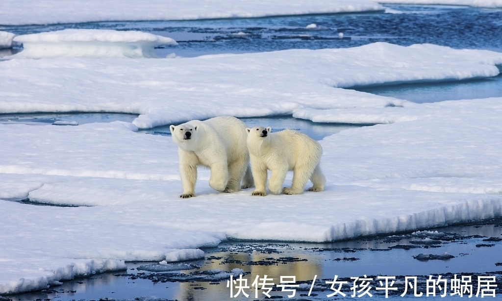 2021寒潮來了！冷冬的鍋，厄爾尼諾和拉尼娜“兄妹倆”背不背？