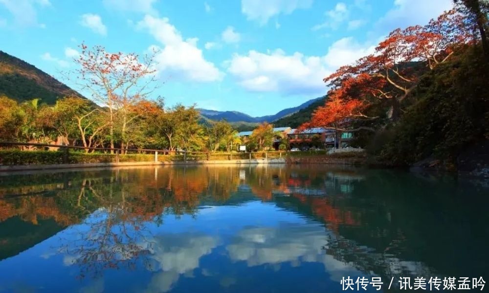 春雨到来，百花盛开！来一场鸟语花香的节后错峰游吧～