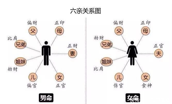 血亲|“六亲不认”是哪6亲？“株连九族”又是哪9族呢？