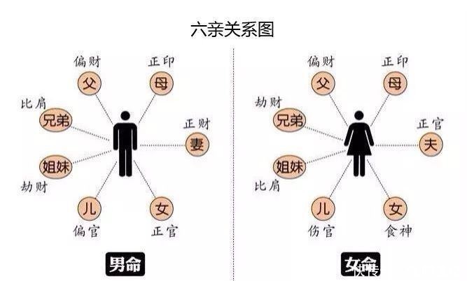 血亲|“六亲不认”是哪6亲?“株连九族”又是哪9族呢?