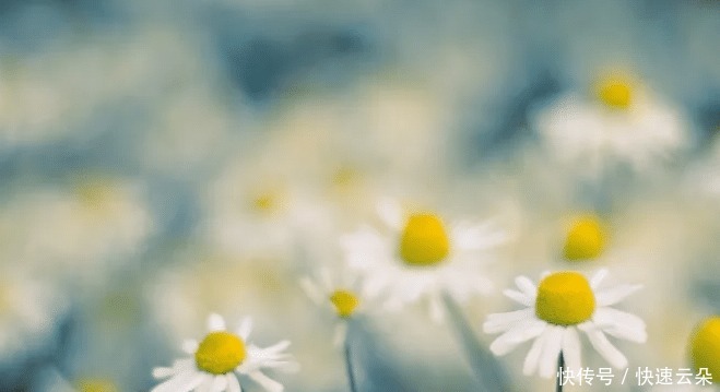 构造|《失眠症漫记》 作者构造出来的世界是很有想象力的