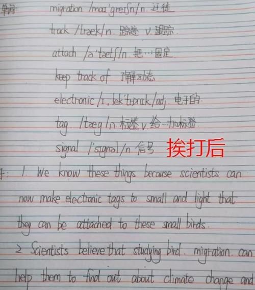 学生挨打前后，作业质量截然不同，学渣与学霸之间只差一顿打