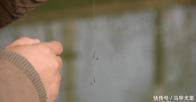 长度|子线长度有多讲究?相差10厘米钓获可能少一半,看老钓手的分享