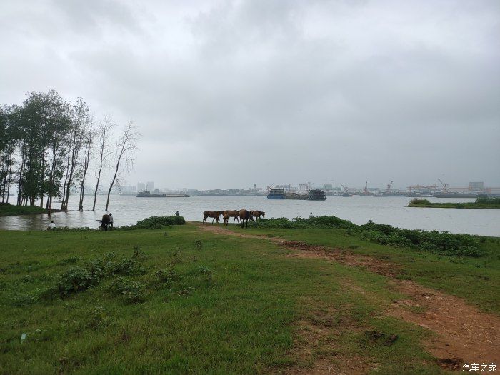 奶茶|没有秋天的第一杯奶茶只有秋天的第一次钓鱼