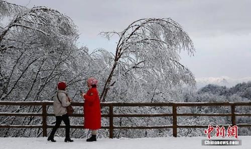 光雾|雪后光雾山雾凇美景让游客流连忘返