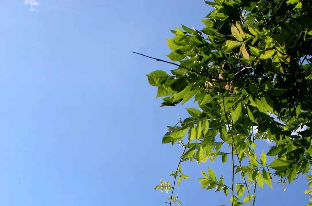 唐多令·惜别&66首惊才绝艳的古诗词,终于找全了,值得永久收藏