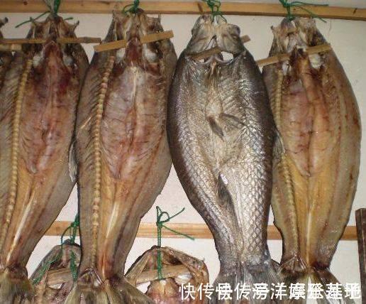 鲢鱼|孕期吃鱼“有讲究”,这3种鱼最好少吃或者不吃,对胎儿有危害