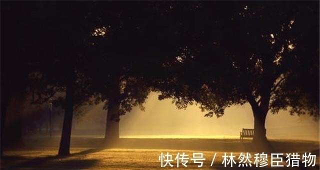 财经$洪晃:因为潘石屹被网友骂惨,气得直接给潘石屹打电话骂他混蛋