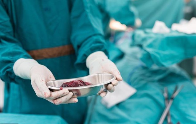 癌细胞|不要等到人不行了才想起中医药!这7类癌症患者早介入早治愈