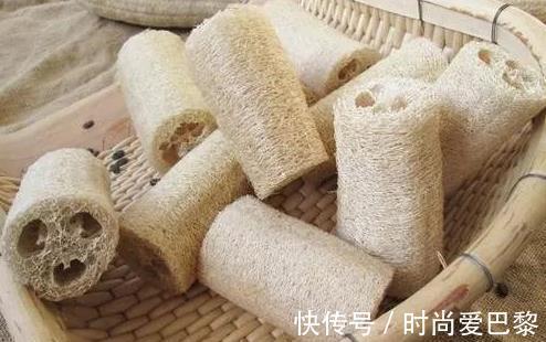 絲瓜|一味絲瓜絡，治病大功效！絲瓜絡6大頂級妙用，收藏以備不時之需