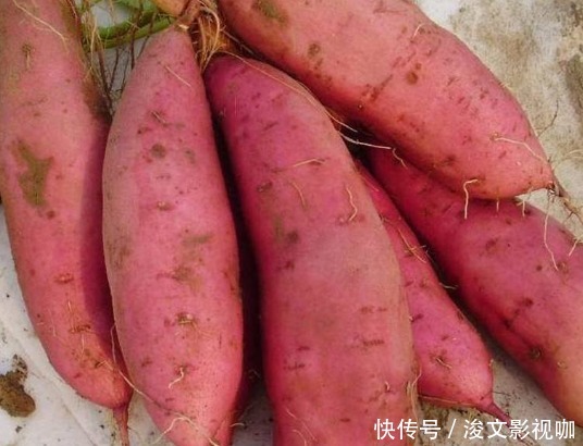 膳食纤维|女生晚上不吃饭，4种主食使劲儿吃，排出隔夜宿便