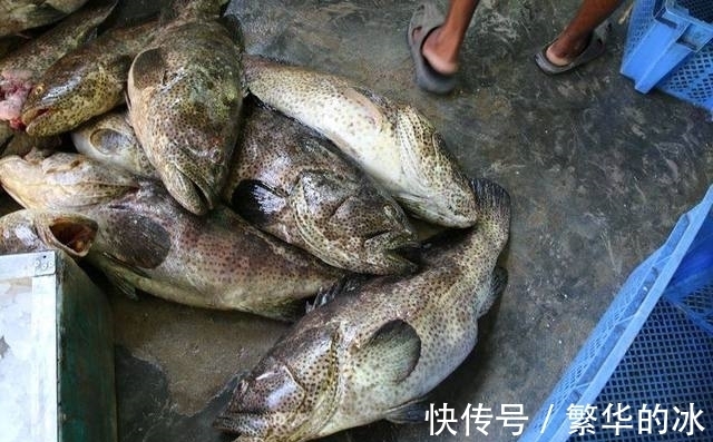 放长线沉底钓的装备和钓组结构,爱钓大鱼的你别错过