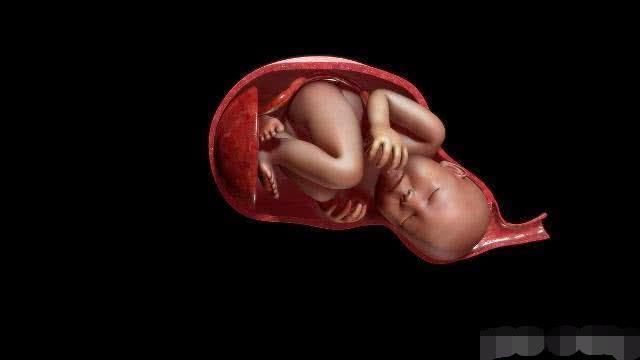 孕妈妈|“高智商”的胎儿，在怀孕期间或许会有3个表现，提前了解一下！