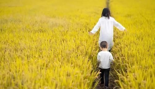 变聪明|哈佛研究发现:孩子一生中有3次机会“变聪明”,家长别轻易错过